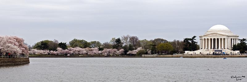 20080403_115058 D300 P.jpg - Jefferson Memorial from Tidal Basin